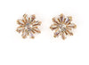 Stylish & Casual Wear American Diamond Stud Earrings