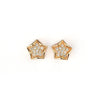 Stylish & Casual Wear Star Shape Studs Earrings